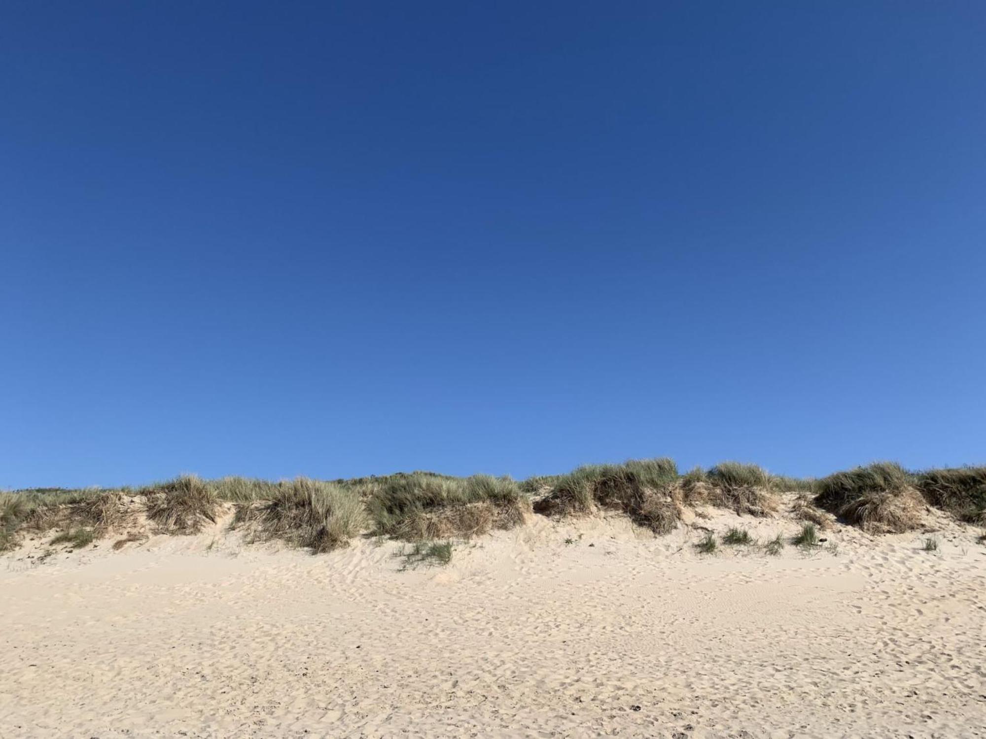 Apartment Littoral By Interhome De Haan Eksteriør billede